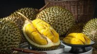 5 Kelompok Orang yang Sebaiknya Menghindari Konsumsi Durian,Penderita Diabetes Termasuk