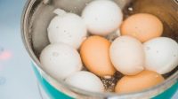 Coba Biasakan Makan 2 Telur Rebus Setiap Hari, Manfaatnya Segudang untuk Kesehatan
