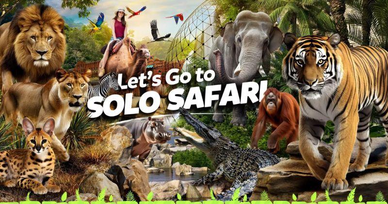 Harga Tiket Solo Safari, Bisa jadi Tempat Liburan Seru bareng Keluarga