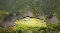 Wae Rebo Ditutup Sementara, Ini 4 Fakta Salah Satu Desa Terindah di Dunia Itu