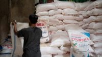 Pemkab Karawang Alokasikan 88.719 Ton Pupuk Subsidi Untuk Para Petani di Tahun Ini