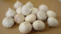 7 Manfaat Bawang Putih Tunggal