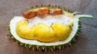 Apa yang Terkandung dalam Durian? Ini Daftarnya…