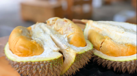 Apa Manfaat dari Makan Durian? Ini Penjelasannya…