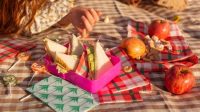 10 Menu Simple untuk Bekal Piknik, Sederhana tapi Lezat