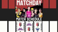 Jadwal Pink Spider vs Red Spark Liga Voli Korea 2025 R5 Live TV