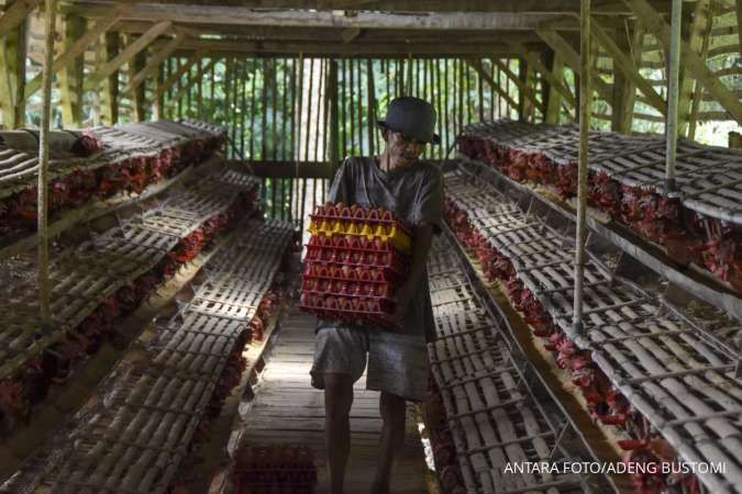 Pemerintah Tambah Anggaran MBG Rp 100 Triliun, Pinsar: Selamatkan Usaha Peternak UMKM