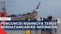 Pengungsi Rohingya Terus Berdatangan ke Indonesia, 2 Perahu Mendarat di Aceh Timur