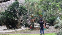 19 Spot Wisata Menarik yang Ada di Kebun Raya Bogor