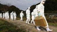 Wabah Flu di Jepang Menggila, Cetak Rekor Tertinggi dalam 25 Tahun Wabah Flu di Jepang Menggila, Cetak Rekor Tertinggi dalam 25 Tahun