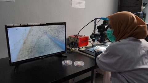 Peneliti Temukan Mikroplastik pada Kantong Teh Celup Populer di Indonesia