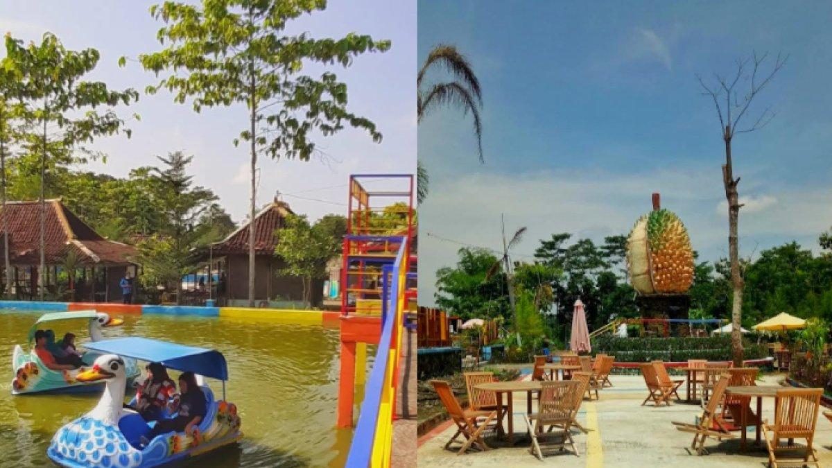 5 Pesona Mengejutkan di Taman Jlengut Klaten: Destinasi Wisata Hemat dengan Aktivitas Pendidikan Seru