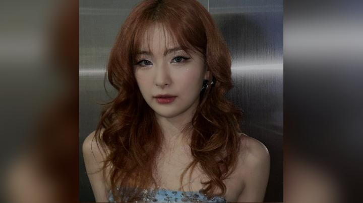 Siapa Seulgi Red Velvet? Kariernya, Diskografinya, dan Fakta Unik Tentangnya