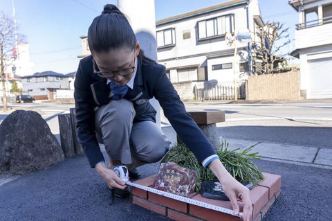 Cuman Segini: Jepang Punya Taman Terkecil di Dunia yang Mungil Seperti 4 Lembar Kertas