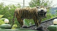 Patung Viral Baru: Dari Macan Cisewu ke Penyu Karton Pelabuhanratu