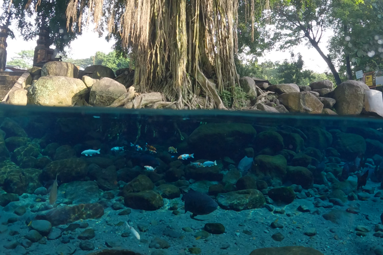 Asal Air Berlimpah di Umbul-Umbul Klaten: Penjelasannya