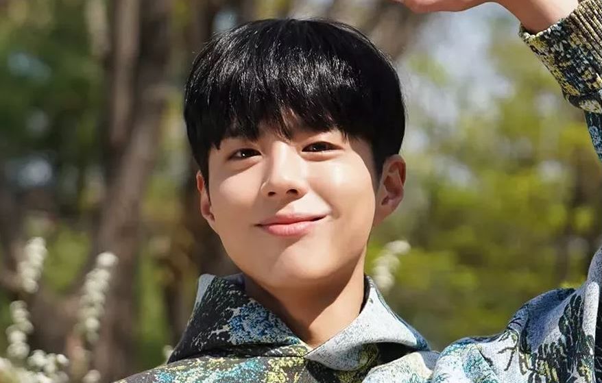 3 Rekomendasi Drakor Park Bo-gum yang Terabaikan: Penasihat Selo Memukau dalam Nae-il’s Cantabile