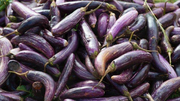 6 Manfaat Mengonsumsi Terung Secara Rutin, Ideal untuk Menjaga Gula Darah dan Melangsingkan Tubuh