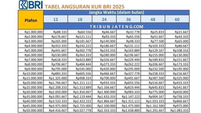 Ingin Jalankan Bisnis tapi Kurang Modal? Coba KUR BRI 2025: Tanpa Jaminan & Bunga Rendah