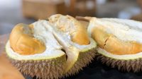 Berapa Kalori Buah Durian? Ini Ulasannya…