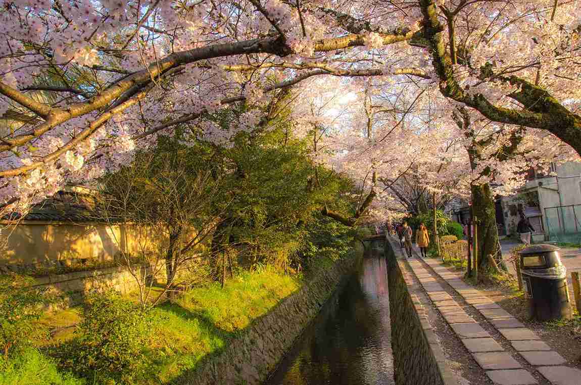 5 Jalan-jalan Paling Indah di Dunia yang Akan Membuat Liburanmu Tak Tertandingi