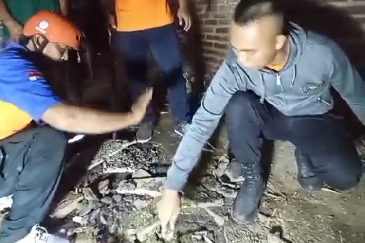 Rumah Jadi Sarang Kobra? Ini Cara Tepat Usir Ular, Tak Perlu Garam