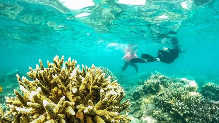 Janjikan Adrenalin dan Keindahan Laut Kepulauan Seribu, Salt Xtreme 2025 Jadi Wadah Pencarian Bibit Atlet Renang Terbuka