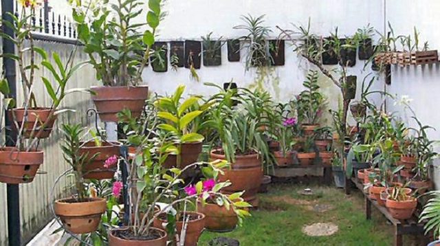 Ini Alasan Biaya Taman Kecil Tinggi