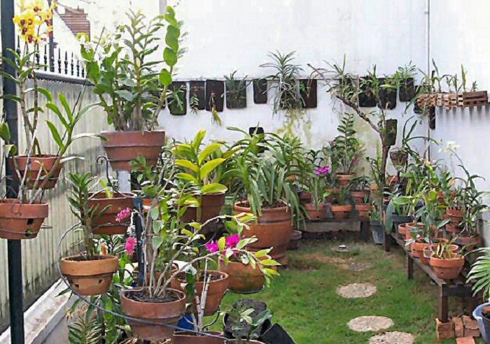 Ini Alasan Biaya Taman Kecil Tinggi