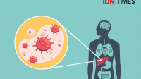 Apakah Hepatitis B Dapat Sembuh? Ini Jawabannya