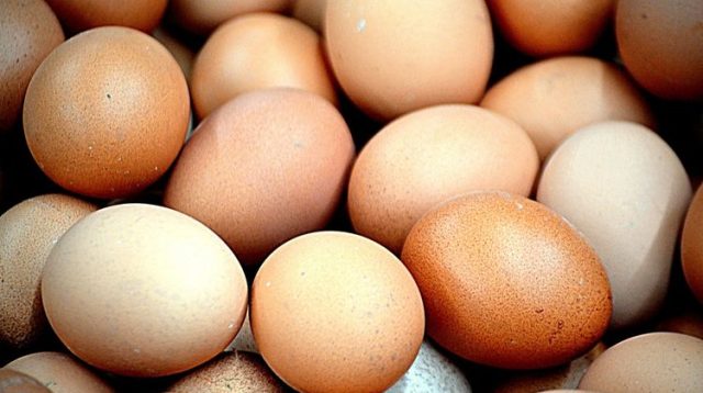 Ahli Gizi Bocorkan Fakta Nutrisi Telur: Warna Cangkang Tidak Tentukan Kesehatan