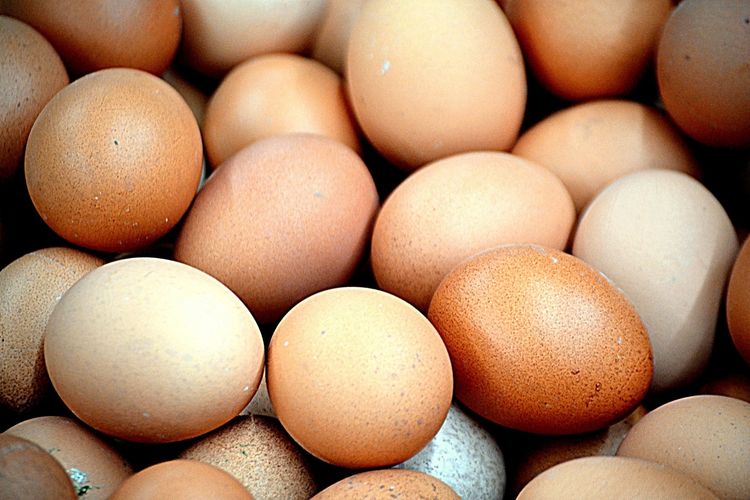 Ahli Gizi Bocorkan Fakta Nutrisi Telur: Warna Cangkang Tidak Tentukan Kesehatan