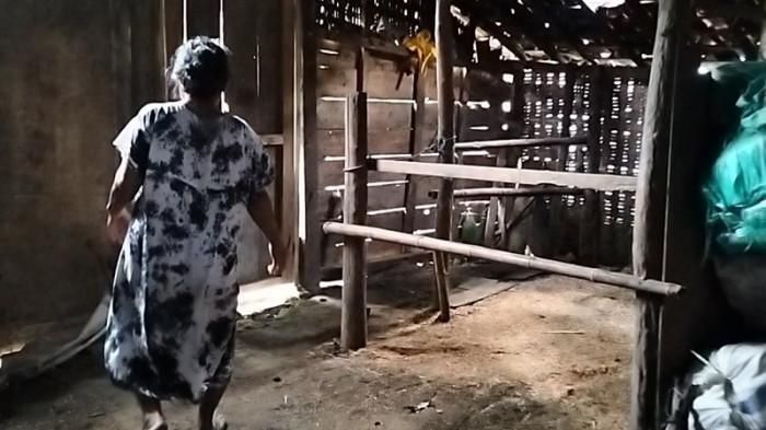 Remaja Blora Bunuh Nenek Setelah Kirim Uang untuk Keluarga