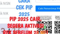 Cara Cek Penerima PIP 2025, Segera Cairkan Sebelum Kehilangan