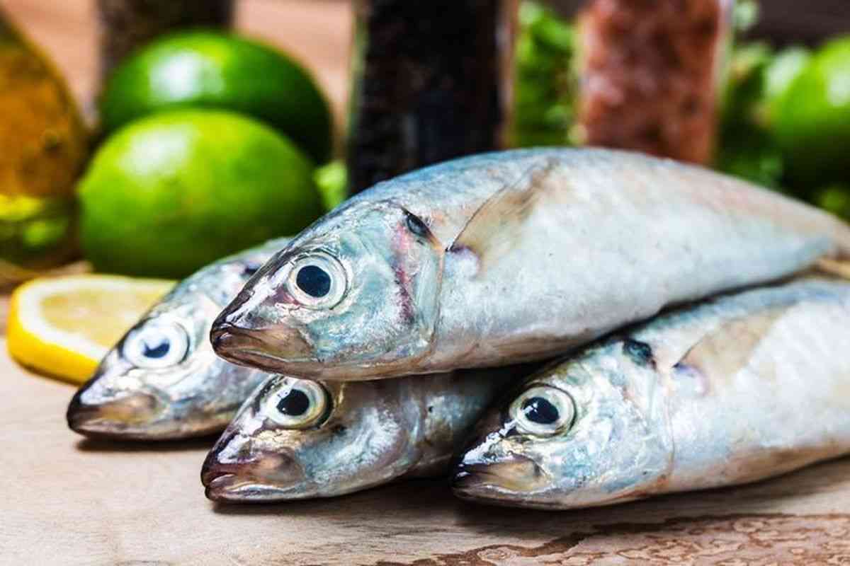 Sehat Tanpa Bias, Omega-3 dari Laut dan Darat