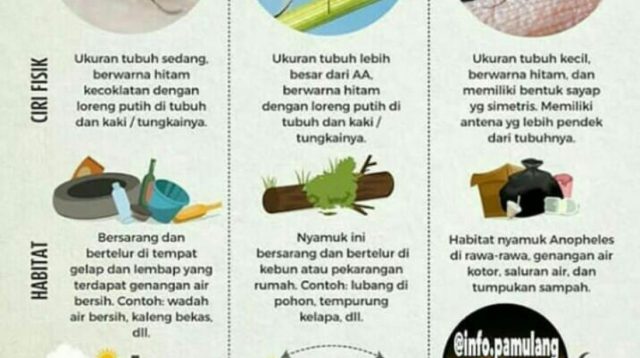 Waspada! 10 Tanda Awal Alzheimer di Usia 40, Nomor 6 Sulit Mengingat Kata yang Tepat