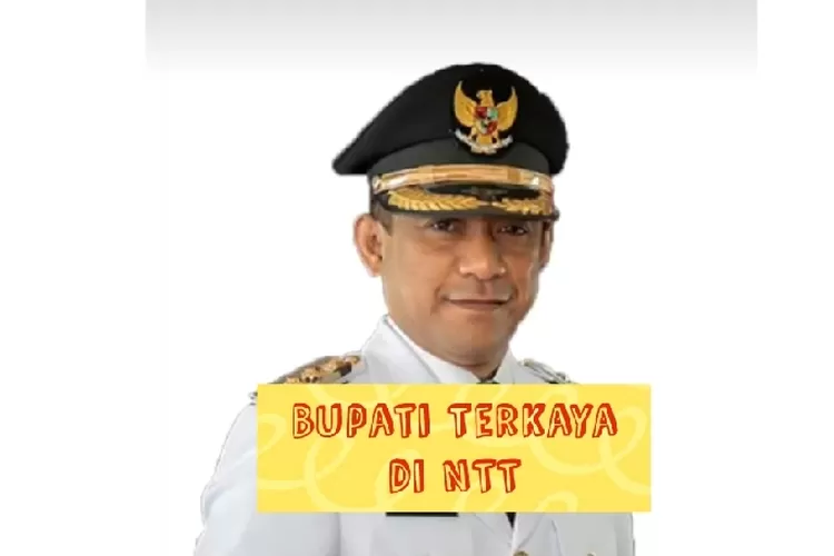 NTT Miliki 5 Kabupaten Paling Padat, Manggarai Jadi Perhatian Karena Bupati Terkaya!