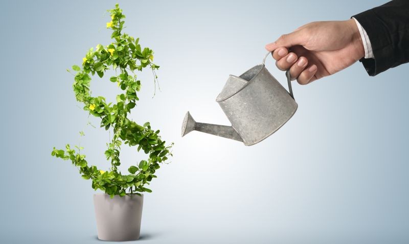 7 Tips Investasi Syariah Sukses untuk Pemula, Pasti Halal!