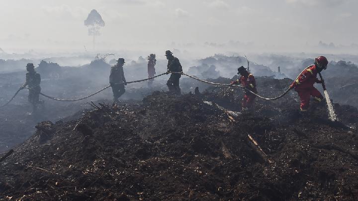 Sistem IPB Prediksi Karhutla 2 Minggu Mendatang