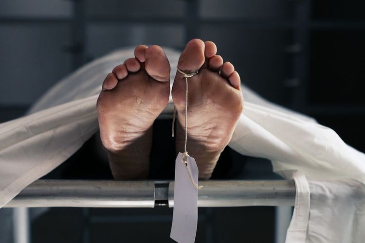 Komandan OPM Tewas Ditembak TNI di Pegunungan Bintang Papua