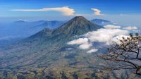 Gunung Semeru Meletus, Kolom Abu Tinggi Ratusan Meter