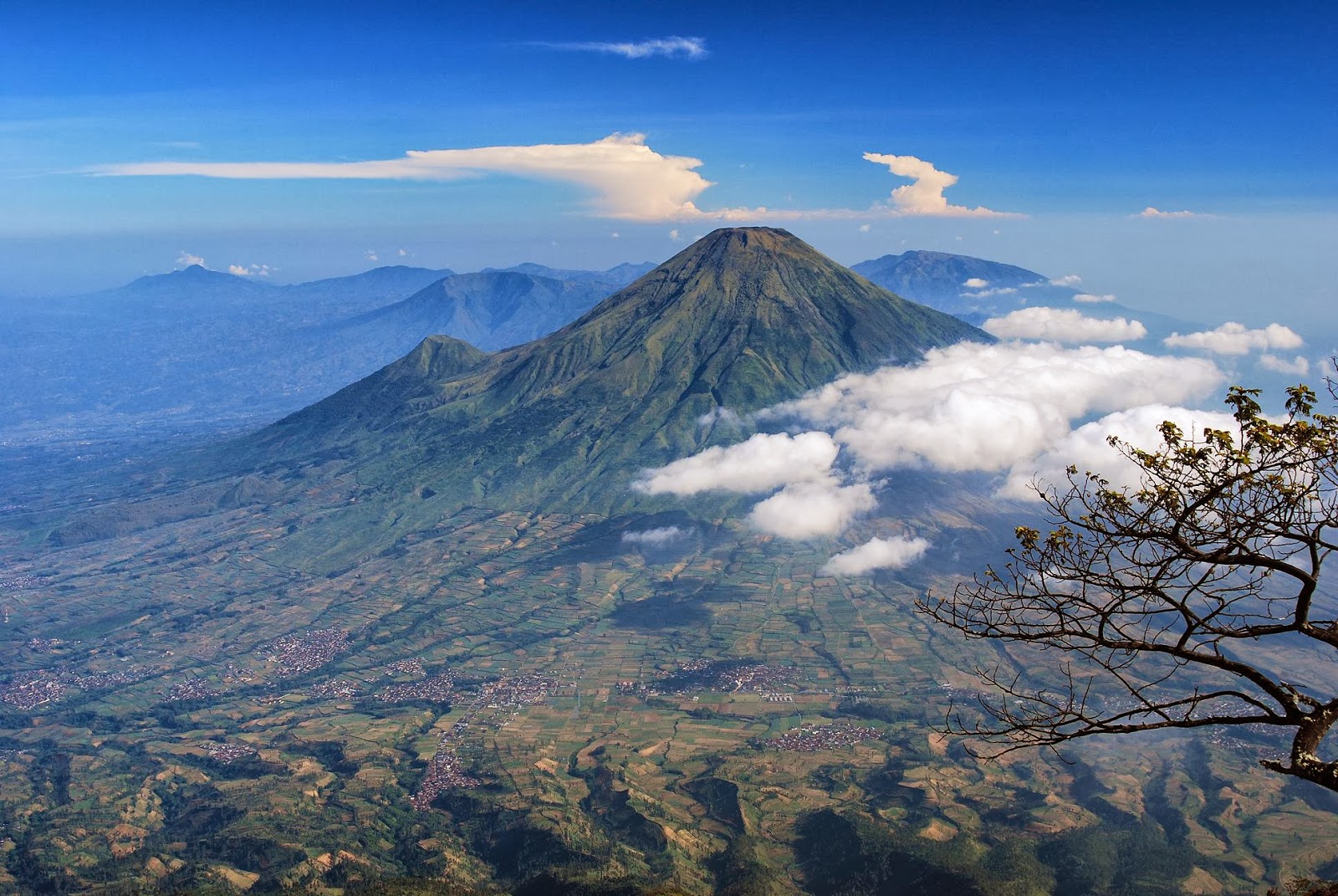 Gunung Semeru Meletus, Kolom Abu Tinggi Ratusan Meter