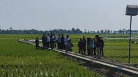 Sawah Gunarto di Kendal Tak Bisa Panen Akibat Rob, Minta Keringanan Pajak
