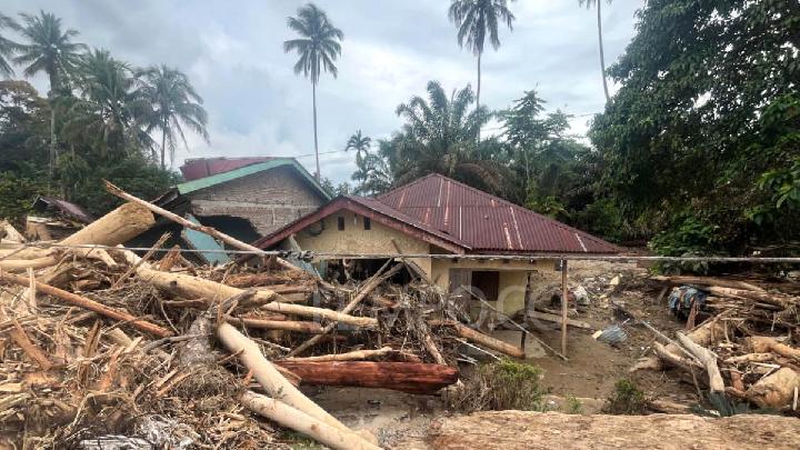 Walhi: 5,4 Juta Pohon Ditebang dalam 10 Tahun di Batang Toru