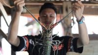 Mencicipi Seafood Sambil Berlayar di Kepulauan Seribu, Wajib Dikunjungi!