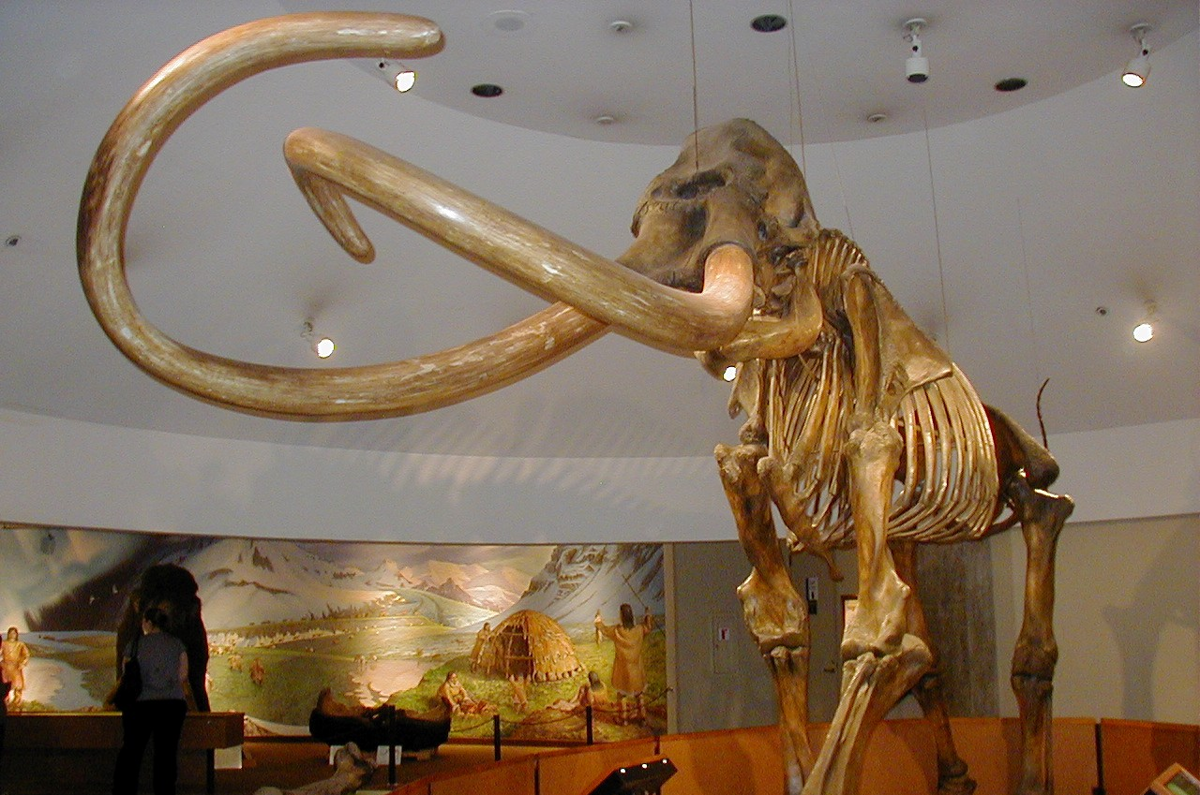 5 Hewan Purba yang Pernah Bersama Manusia, Apa Saja?