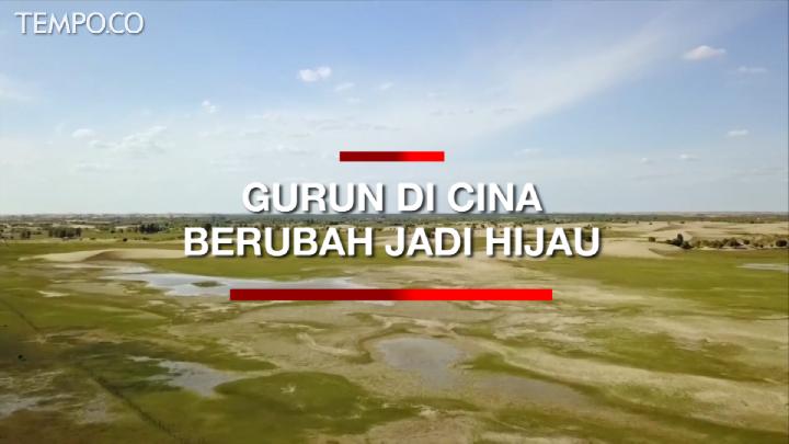 Inilah cara penghijauan puluhan tahun mengubah distribusi air alami di Tiongkok
