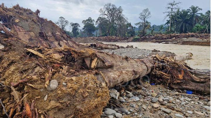 Satya Bumi: Penundaan Izin Korporasi di Batang Toru Belum Cukup