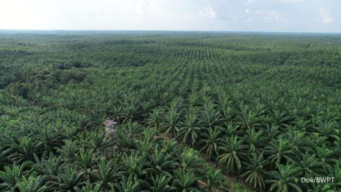 Pascabanjir, KLH Segel Kebun Sawit PT TBS di Tapanuli Tengah