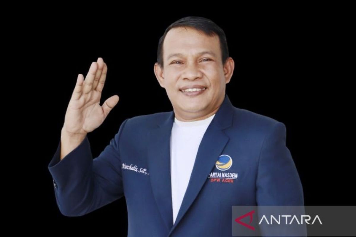 Tidak Miliki Kursi di DPRA, NasDem Usulkan Subulussalam dan Aceh Singkil Jadi Dapil